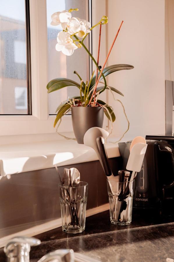Nový Bor Apartmany Centrum מראה חיצוני תמונה